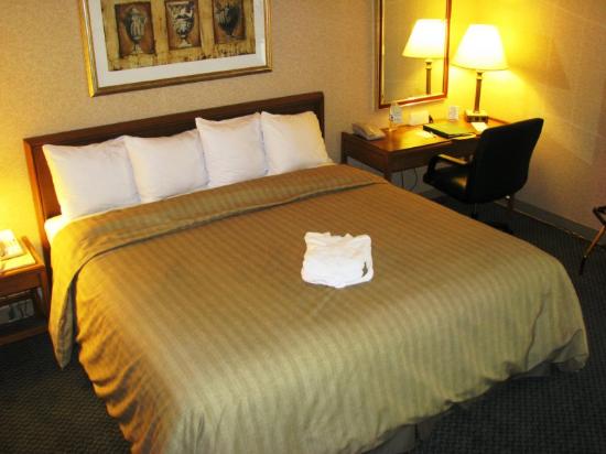 crowne plaza hotel ottawa reviews